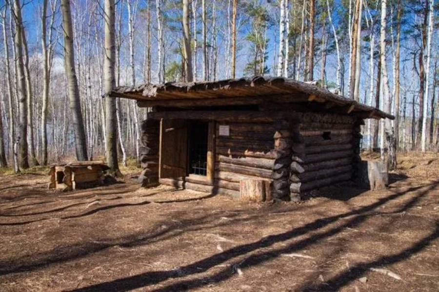 Understanding mining cabins not patented but pay taxes in nevada qui:in Nevada